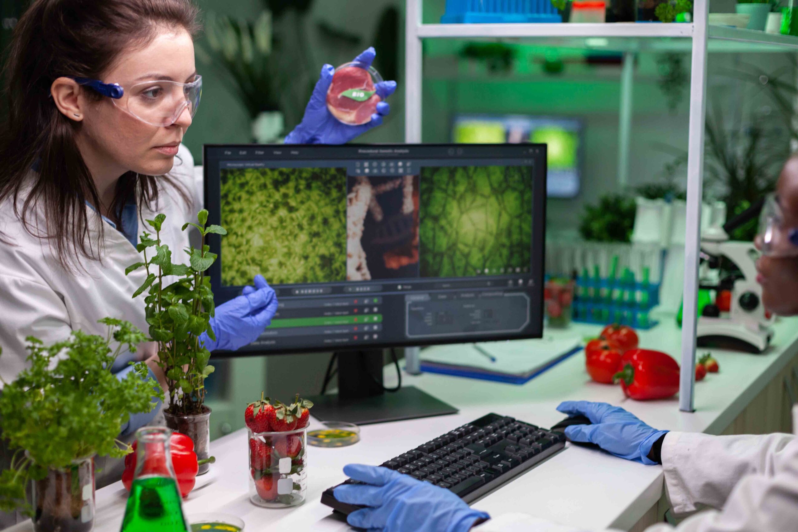chercheurs devant un ordinateur analysant des échantillons de plantes
