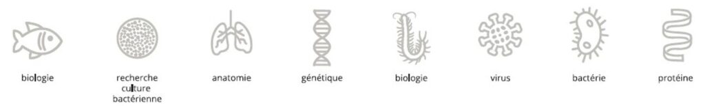 Motif de poisson et de mille-pattes pour biologie ; cellule pour recherche culture bactérienne ; poumons pour l’anatomie ; ADN pour la génétique ; un virus ; une bactérie ; une protéine.